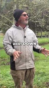 Paver Installation: Landscaping That Elevates a Naturally Beautiful Property #shorts