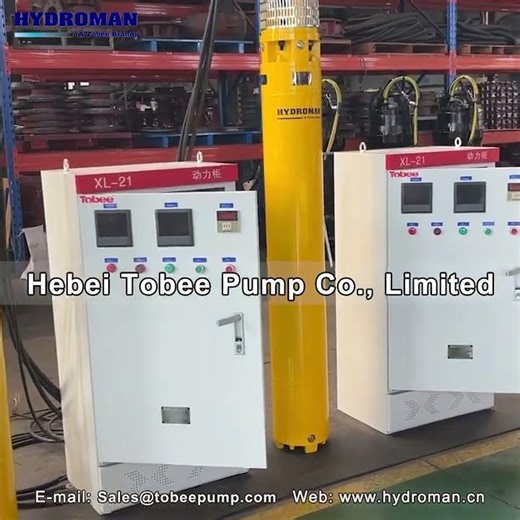 Hydroman® 150mm TQJ Deep Well Pumps for Drinking Water Application #waterpump #watersupply #wellpump
