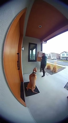 Caught Stealing the Bait Box! Funniest Porch Pirate Prank Ever