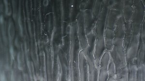 Ice like motion background - Free Stock Video