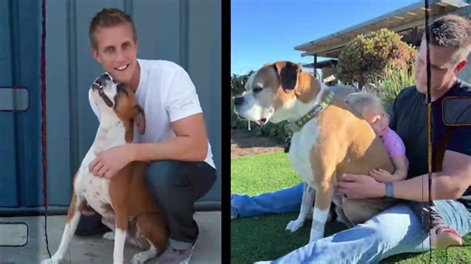 I Spent 365 days Building a GIANT Dog Rescue Farm (You Can Visit!)