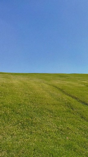 Kissing Party Animation to 'INSIDE' by TJ Mack