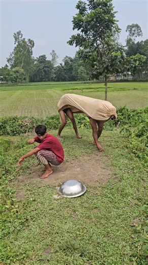 The cow came and overturned the pot.4107#funny