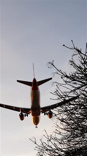 Stunning Close Flyover on Final approach #planespotting #airplanes #flugzeug #plane #stunning #fly