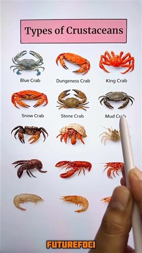Crustaceans#sscchsl #gk #learning #competition #ssccgl@futurefoci