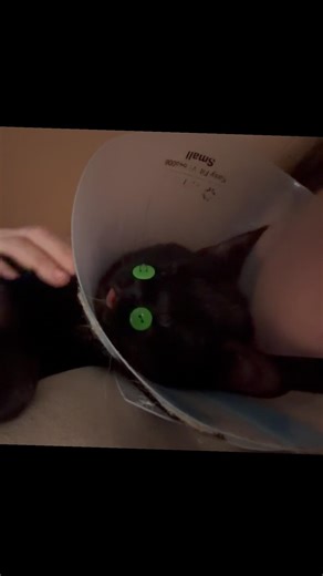 Mr. Berry’s road to recovery - Day 33 since car strike https://gofund.me/1cacdcd96 #mrberrybuttons