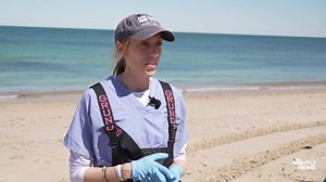 Mystic Aquarium team on a mission to save the seals
