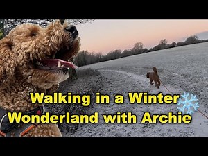 Walking in a Winter Wonderland ❄️ with Archie