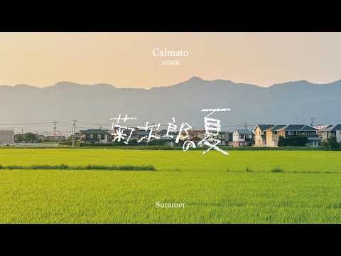 [ASMR] The Most Awkward Yet Warmest Summer | Kikujiro - Summer | Movie OST ASMR
