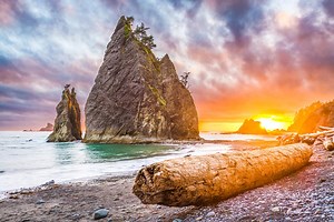 The Ultimate 2-Week Highway 101 Itinerary, From California to Washington