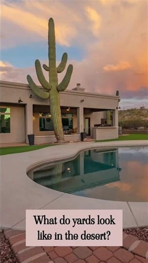 Tucson Desert Landscaping Goals 😍🌵