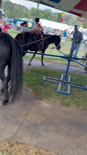 Calhoun Georgia Fair 2025 | Hidden Heritage Farm