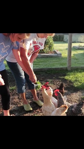So brave to work through her fear #autism #chickens | FatheringAutism