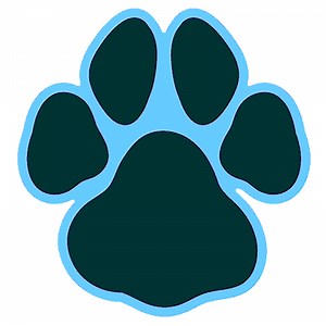 Volleyball Recap: Pendleton County Wins Going Away Against Paw Paw