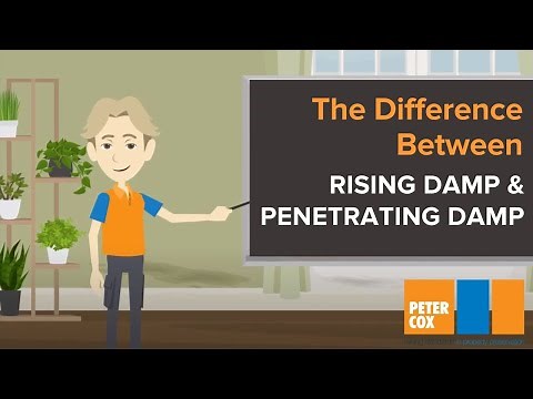 Dampness in Houses? | What's the Difference between Rising Damp and Penetrating Damp?