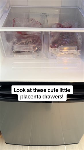 Understanding Placenta Encapsulation After Hospital Births