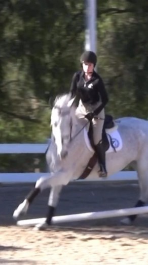 3.1K views · 57 reactions | Master the most advanced release by learning Jim Hagman’s formula to perfect the following arm. His fantastic 3-part series will teach you exercises that improve the independence of the rider’s seat and legs, and perfect the rider’s automatic release. Watch The Hagman Formula - link in bio!  (☝️ Don’t forget - you can watch Part One for FREE this month! ) #ridinglesson #masterclass #equestriansport | EquestrianCoach | Facebook