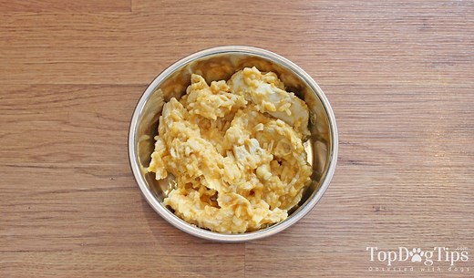 Recipe: Homemade Dog Food for Diarrhea