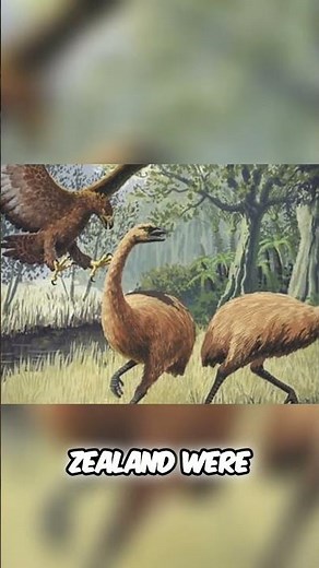 The Moa: Did This Extinct Bird Just Reappear?