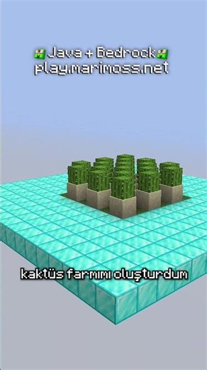 Minecraft Marimoss Skyblockt'a Arkadaş Edindim