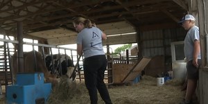 Bridport family farm looks to the next generation