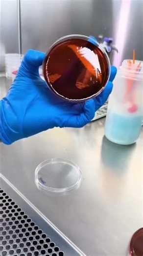 #bmlt #science #microscope #medicalbiochemistry