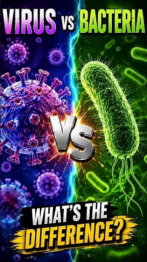 🦠Virus vs Bacteria: What's the Difference?