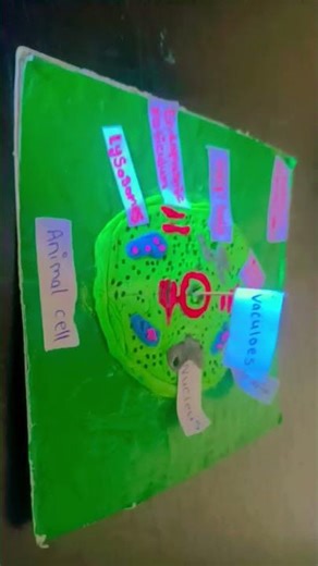 Plant cell project #science #Plant cell #7th