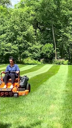 How to Get Better Lawn Stripes | 4 Lawn Mowing Tips Every Homeowner Should Know
