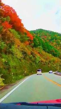 下呂の紅葉ドライブ ― 国道41号沿いの絶景 Autumn Drive in Gero ― Scenic Route along Route 41