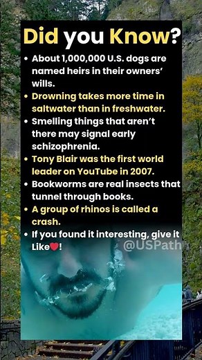 Did you know "bookworms are real insects that tunnel through books"?