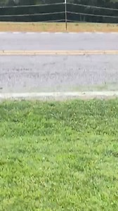 638K views · 759 reactions | 7000 block Old Mayfield Rd. Big tractor lost his disc behind him. All safe. Go around or thru my yard plz. Viewer submitted | Paducah, KY Police Blotter | Facebook