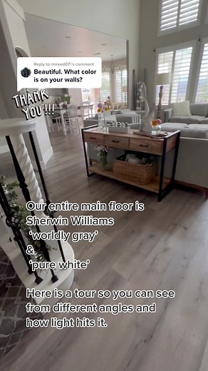 Sherwin Williams Worldly Gray | Pure White - Home Tour
