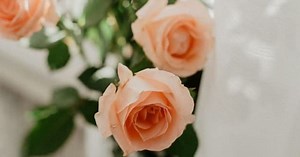 BTSジョングクのソロ曲「MY TIME(時差)」歌詞の意味と作詞作曲&収録アルバム