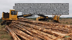 21 reactions | Southern Loggin' Times: The May 2019 issue features Thomas Johnson Logging of DeRidder, Louisiana! | American Loggers Council | Facebook