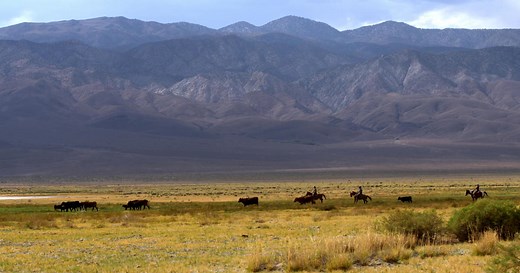 10/10/2021: Deepfakes, 1,000 Children, Deep Springs