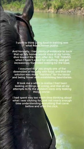 Seeing the big picture changed everything (keep reading ⬇️)
