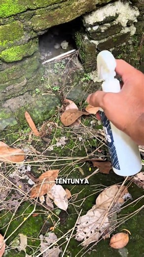 SEMPROTAN ANTI TIKUS 3