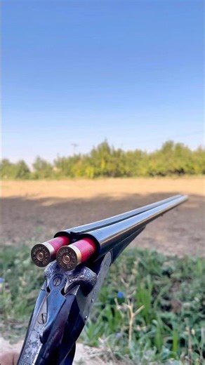 Hunting with most legendary 12 gauge double barrel shotgun #hunting #shotgunshooting