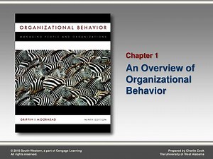 An Overview of Organizational Behavior - SlideServe