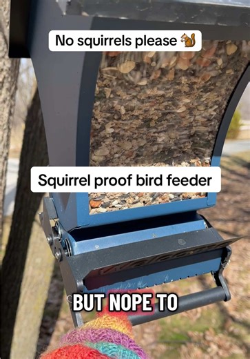 Squirrel-Proof Bird Feeder for Bird Lovers