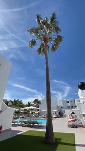 🇪🇸 Un oasis de tranquilidad situado a escasos metros de Playa D’en Bossa, en la Ibiza más auténtica. 🇬🇧 A tranquil oasis located just a few meters away from Playa D’en Bossa, in the most authentic Ibiza. Migjorn Ibiza Suites & Spa Reserva tu habitación: www.migjornibiza.com #migjornibiza #hotelibiza #turismoibiza #iloveibiza #ibiza #ibiza2023 | Migjorn Ibiza Suites & SPA