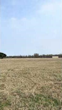 Land for Sale Blooming Groove Tx 19 acres front pasture $346,000 David@DavidDevoreRealtor.com