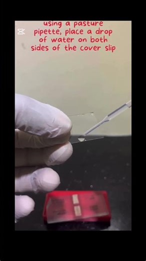 Fill YOUR Neubauer Chamber like a PRO! #wbccount #medicalstudent