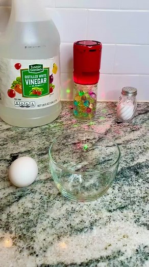 Egg in Vinegar Experiment Results After 24 Hours