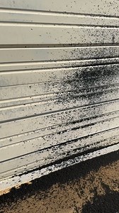 473K views · 330 reactions | Just a liddle guy 梁 | Mad Max C7 | Facebook