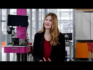 A Brain Scientist and Volcanologist Investigate Why Some Volcanoes Turn Explosive