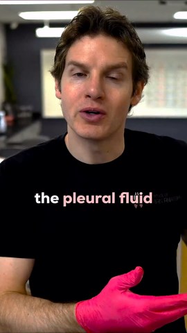 What happens when a lung collapses