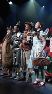 7.4K views · 81 reactions | Follow the yellow brick road with the...