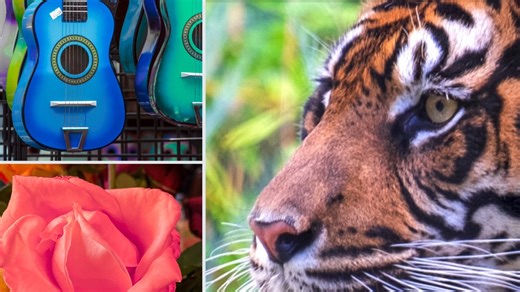 Photoshop and Lightroom: Masking Essentials Online Class | LinkedIn Learning, formerly Lynda.com